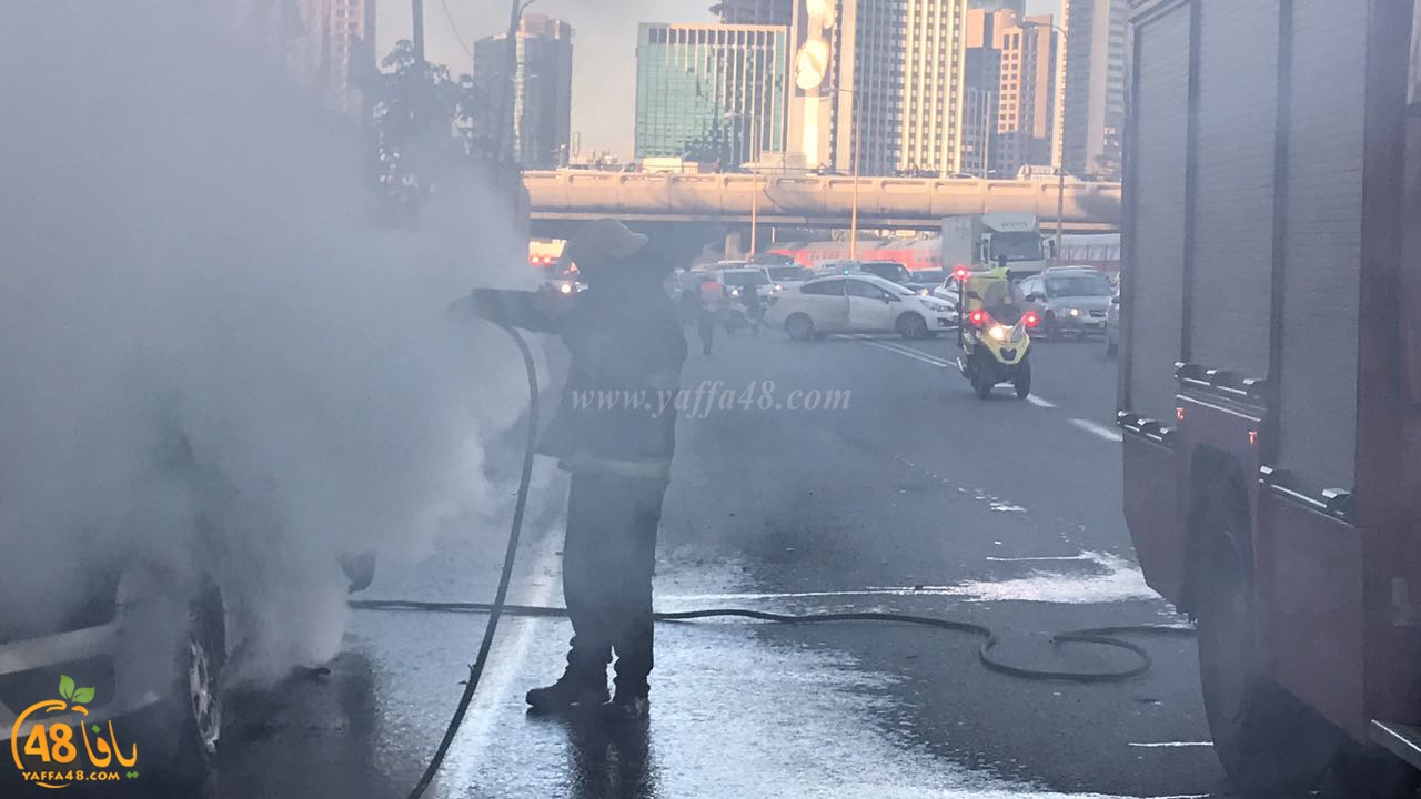 fire ayalooonhasgrq (3).jpg